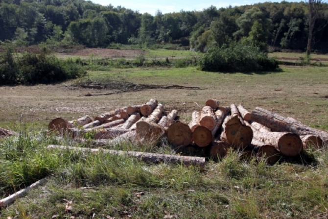Le drame de Sivens :Cazeneuve  path&eacute;tique &agrave; un point stratosph&eacute;rique