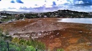 Le Ministre des Outre-Mer réagit à la polémique par un Plan d’urgence Sargasses