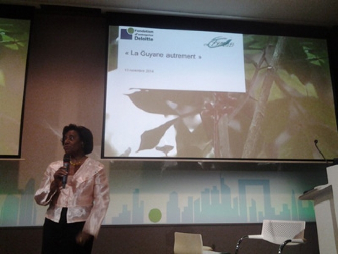 La pharmacop&eacute;e guyanaise, notre capital-sant&eacute;