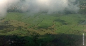 Le foncier guadeloupéen à la loupe