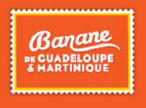 La Banane de Guadeloupe &amp; Martinique à la Route du Rhum
