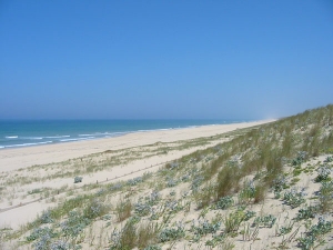 Une délégation d&#039;Haïti en voyage d&#039;étude