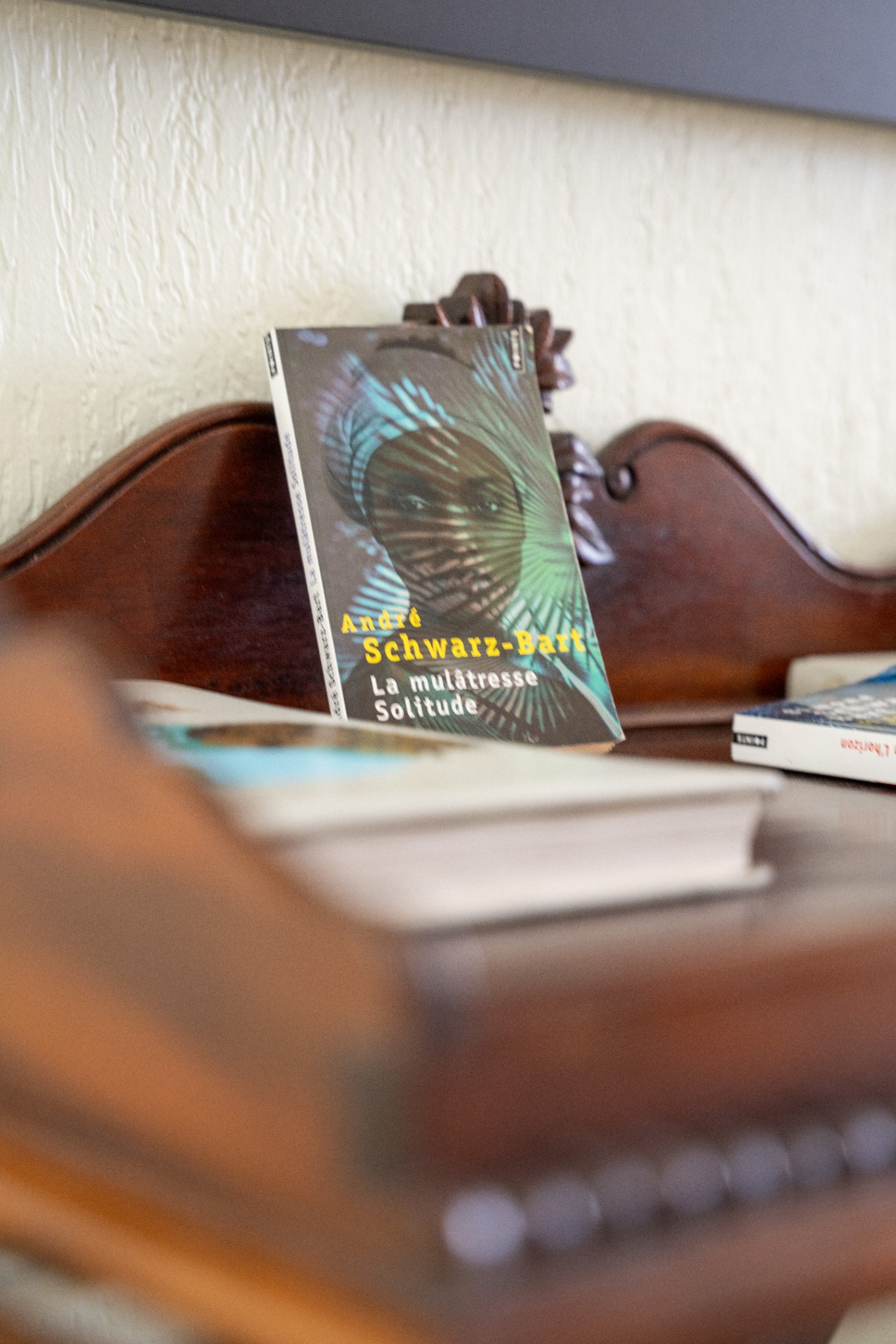 Livre La Mulâtresse Solitude